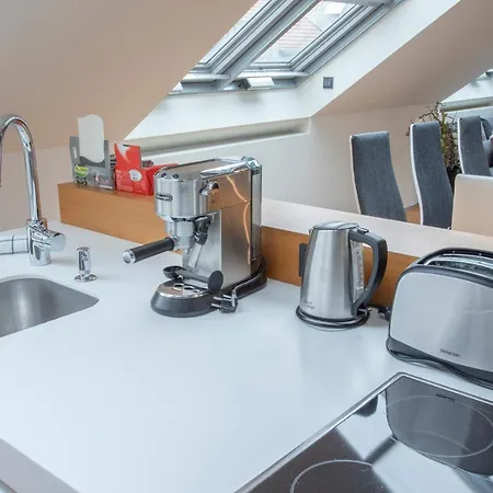 Luxury Duplex With Terrace Apartment Prague