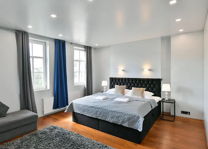 Luxury Duplex With Terrace Praga